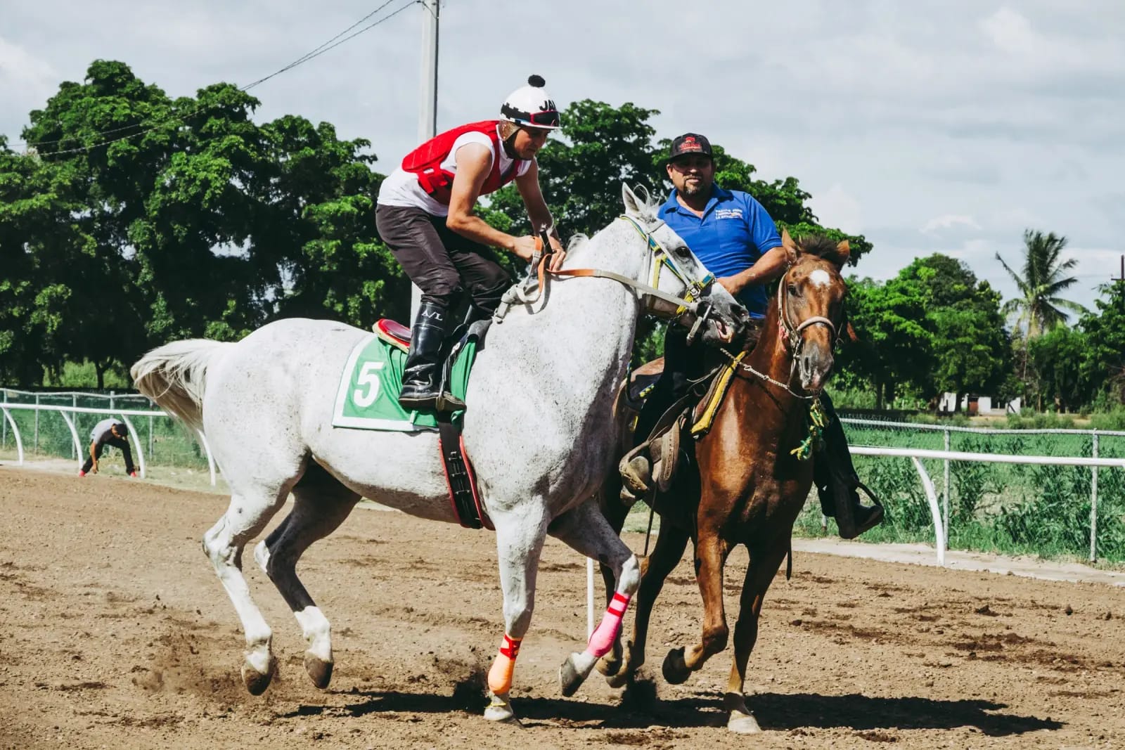 Jóquei em cavalo tordilho e cavalo alazão conduzido ao lado, em pista de areia com coqueiros ao fundo